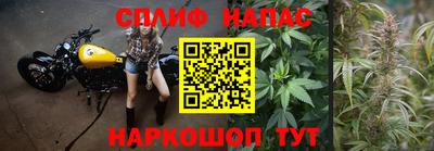 бошки Заводоуковск